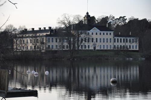 bild på Drömmen om Chateau Reuterdahl (garagevin)