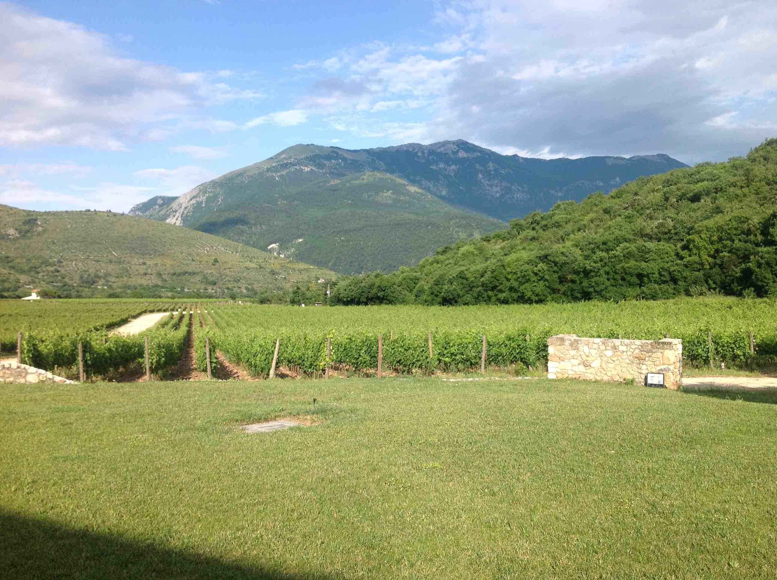bild på Kvalitetsvin från Abruzzo som inte kostar – Valle Reale