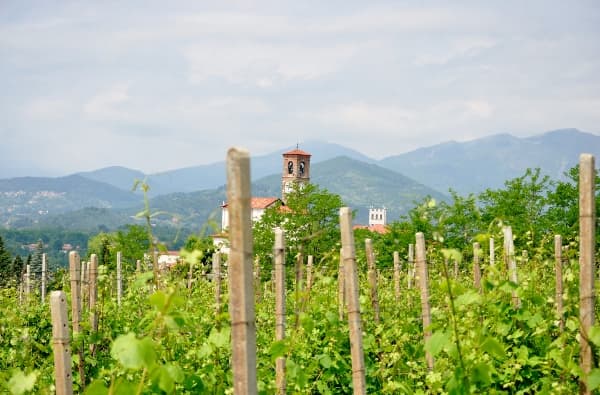 bild på På resa i Piemonte – Alto Piemonte