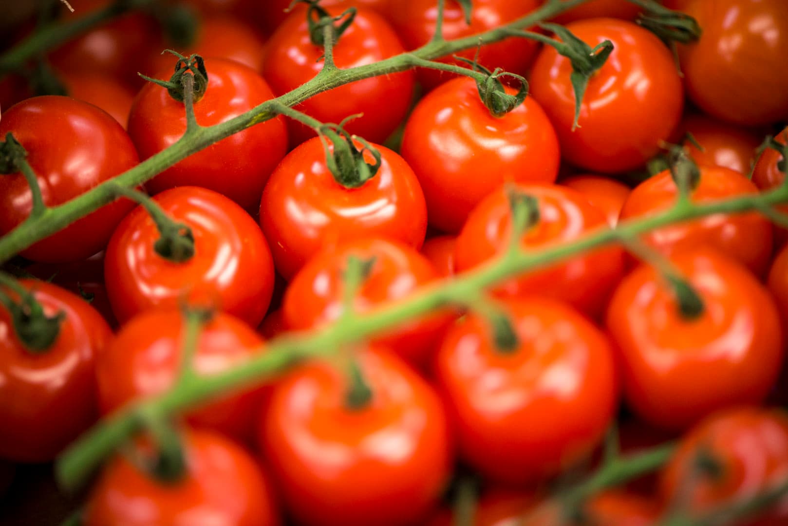 bild på Anettes bästa tomatsås.