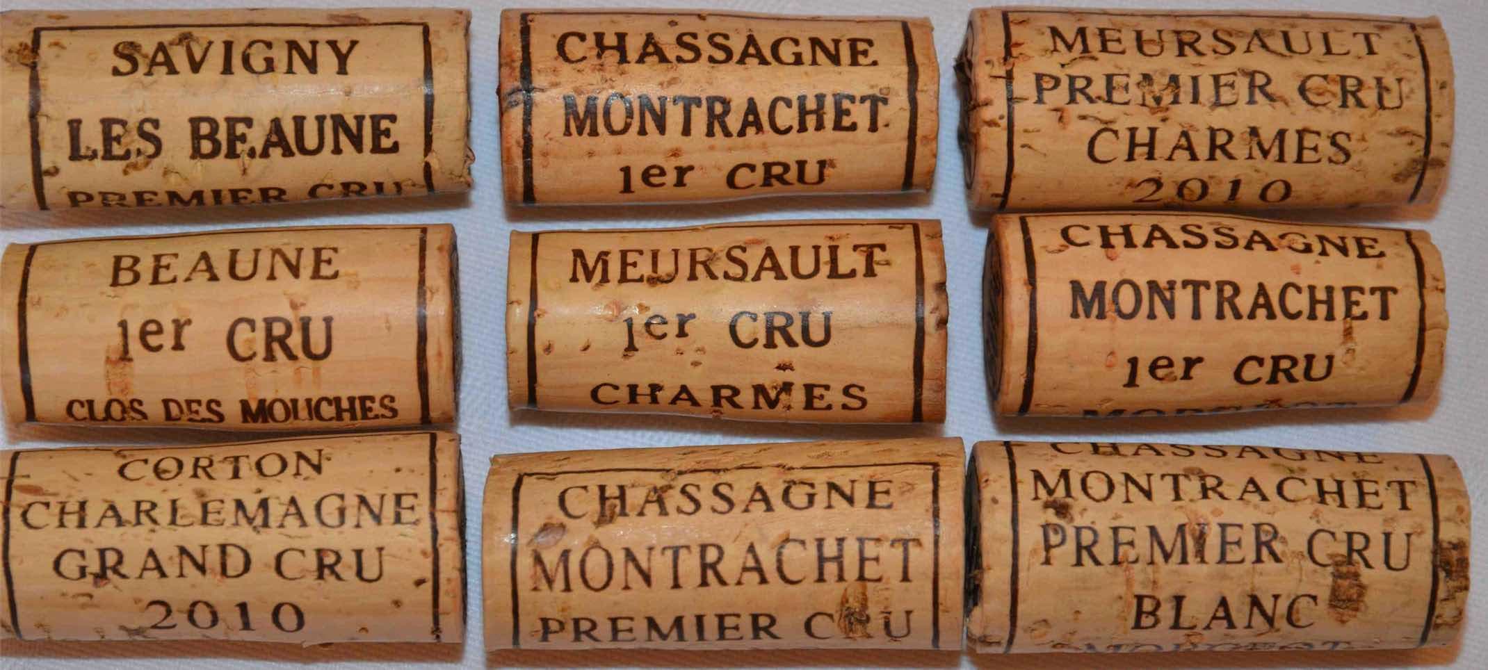 bild på Sommarens vinresa till Champagne – Chablis – Beaune – Macon