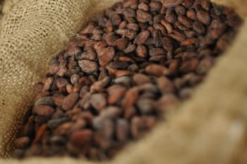 I chokladfabriken – Chokladskolan