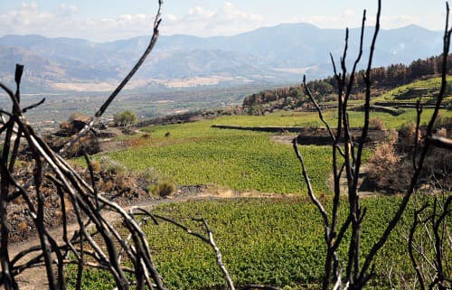 Etna Sicilien