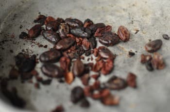 Tillsatser i choklad – Chokladskolan