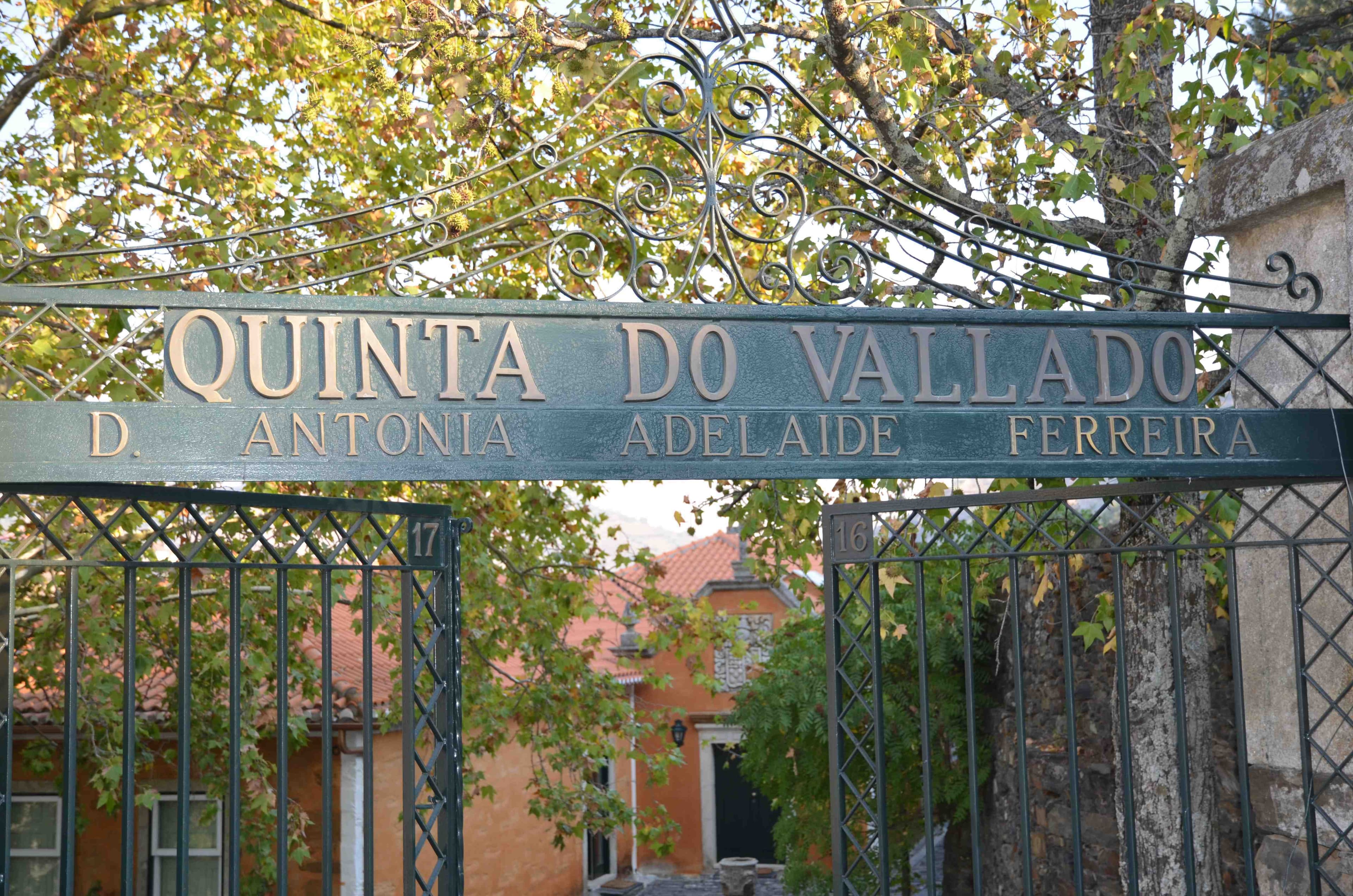 bild på Quinta do Vallado – Ett av Portugals bästa vinhus.