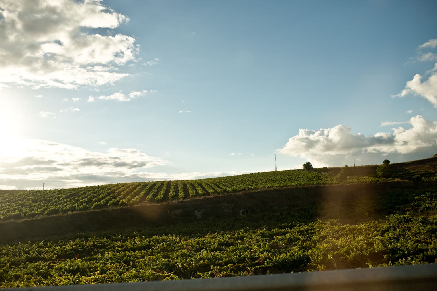 bild på En Rosso istället för Brunello di Montalcino
