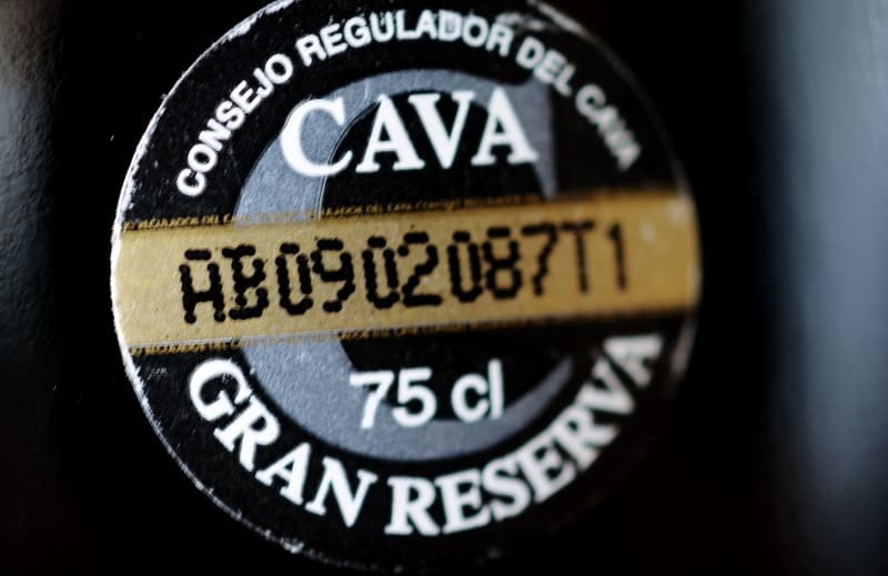 bild på Då går vi ned i källaren – i källargrottan (Cava)