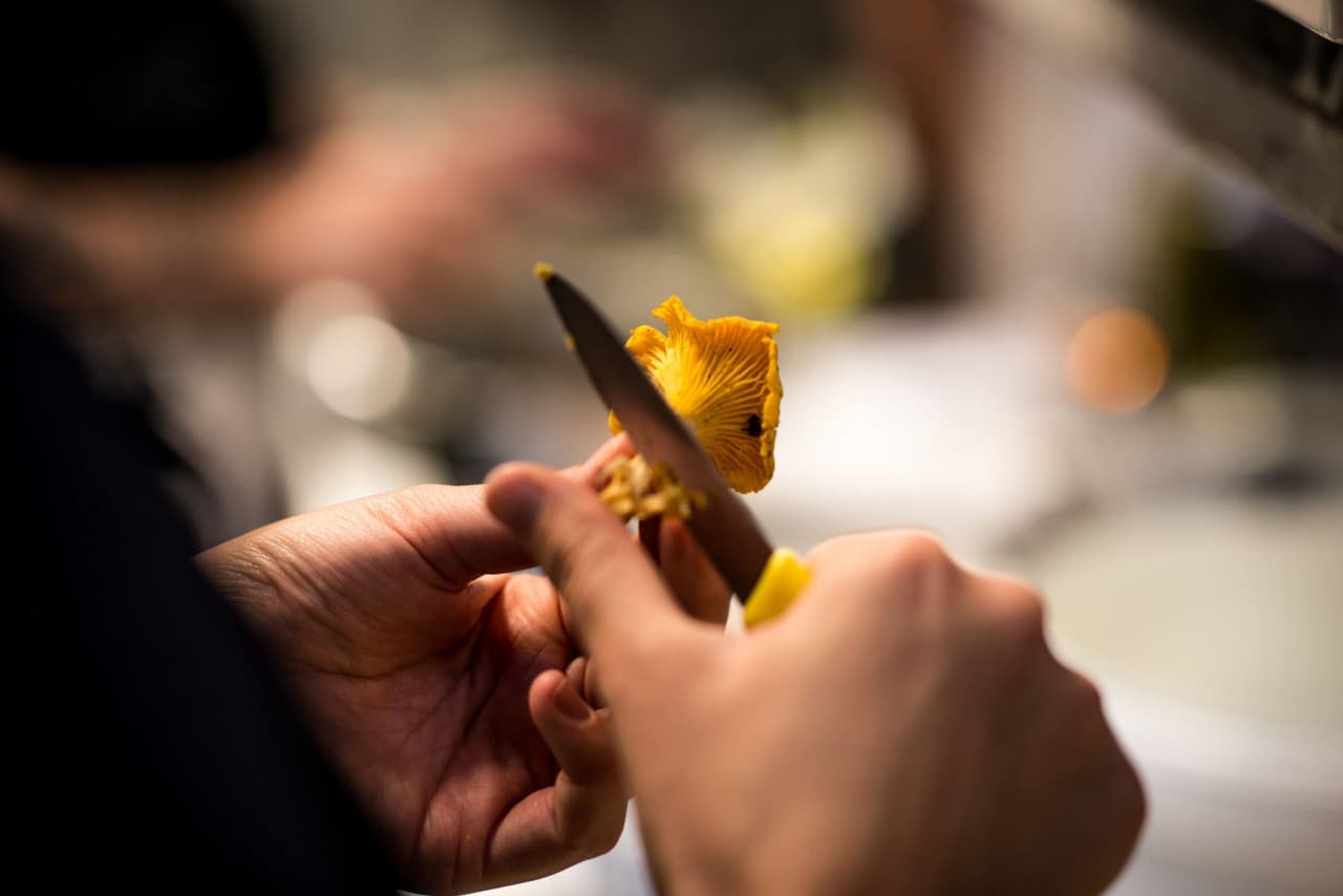 Bild på Kantarellrisotto med råstekt jordärtsskocka och tärnat äpple