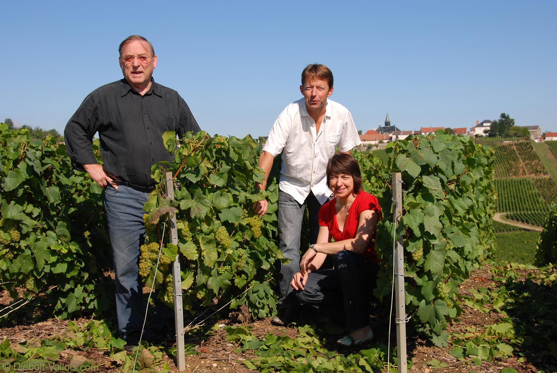 Månadens Vinhus: Champagne Diebolt-Vallois