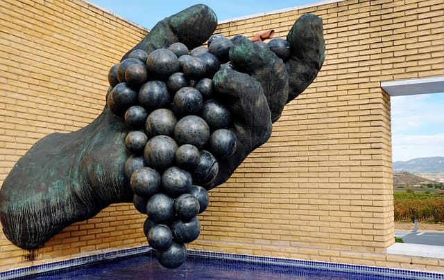 Rioja druvklase