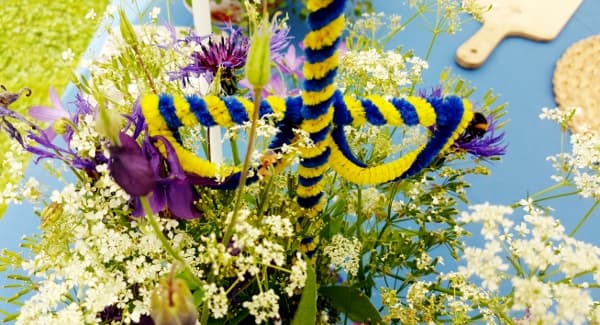 bild på En midsommarnattsdröm, en midsommardagsmorgon