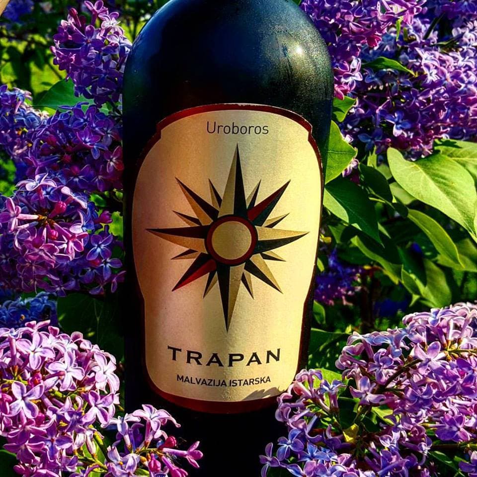 Malvasia