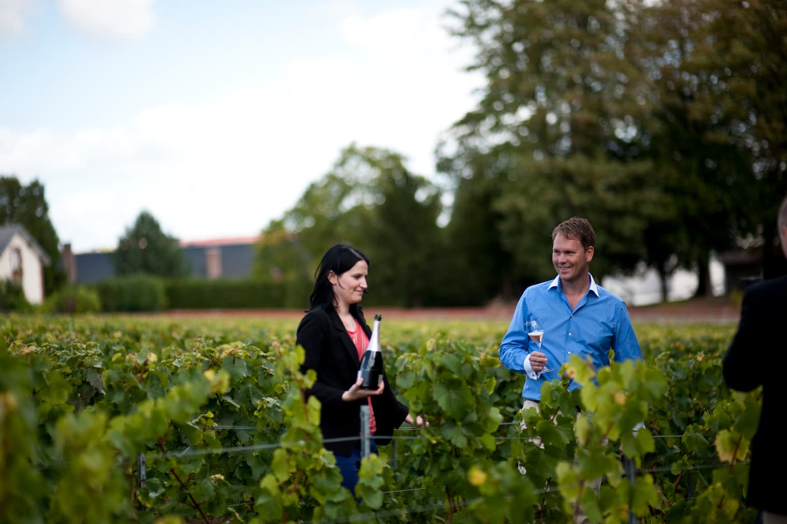 Krug Clos de Mesnil