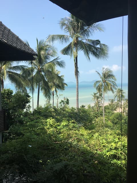 bild på Thailändsk mat och vinet