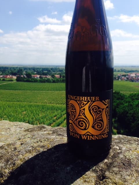 bild på Res till Pfalz – drick riesling!