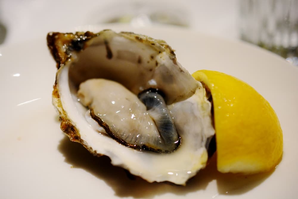 Oyster