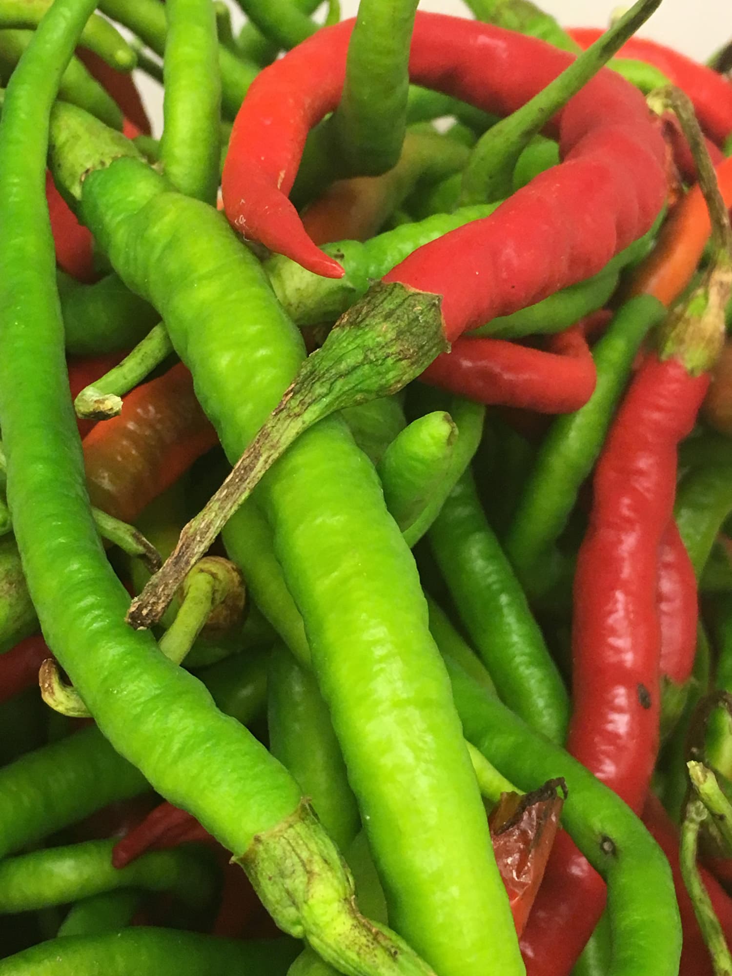 bild på Fermenterad Hot Sauce av tre olika sorters chili