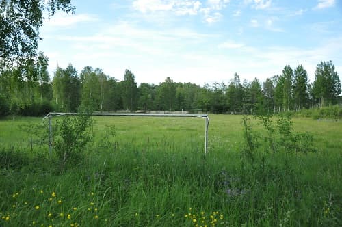 VM-viner