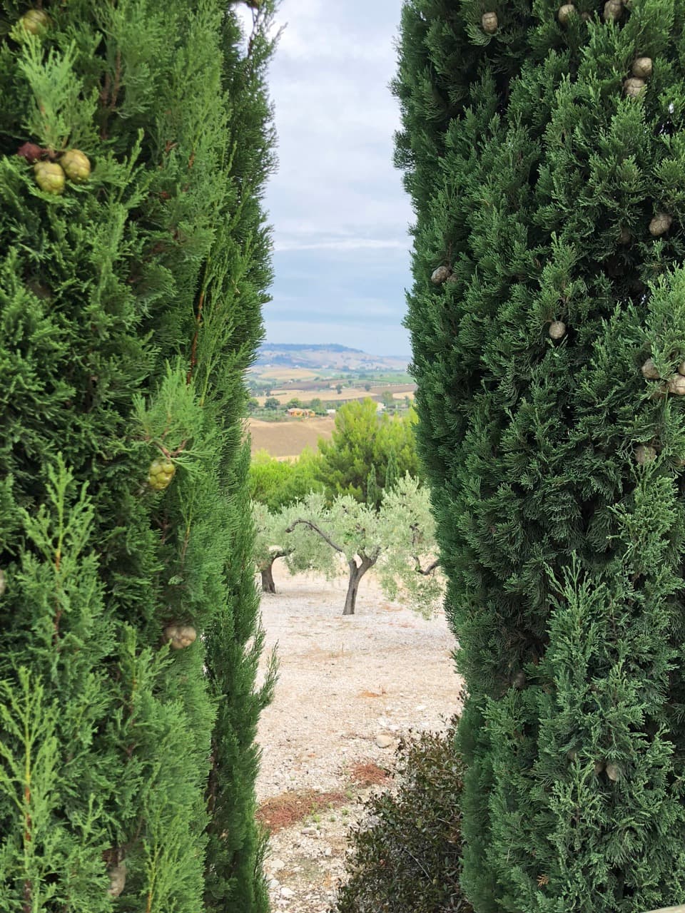 bild på Molise – den okända regionen 
