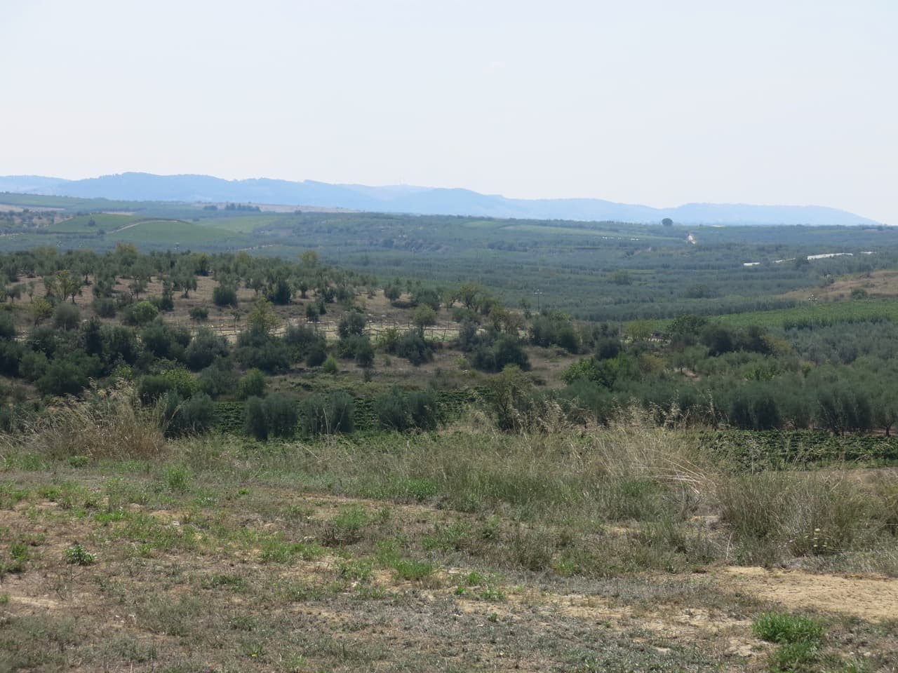 bild på Två favoriter i Apulien – Ognissole och Masseria Li Veli