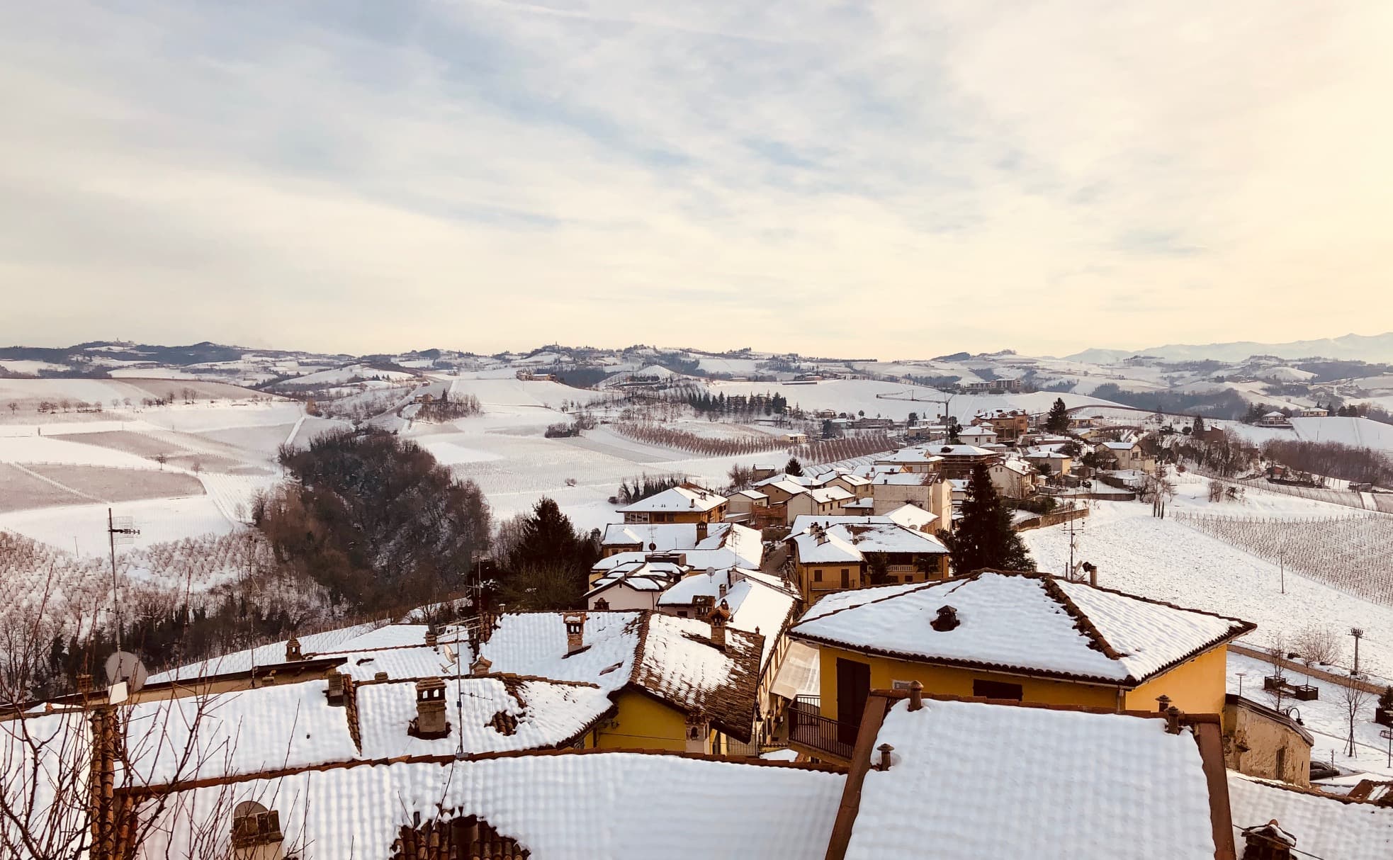 Barolo och Barbaresco, Anders Levander