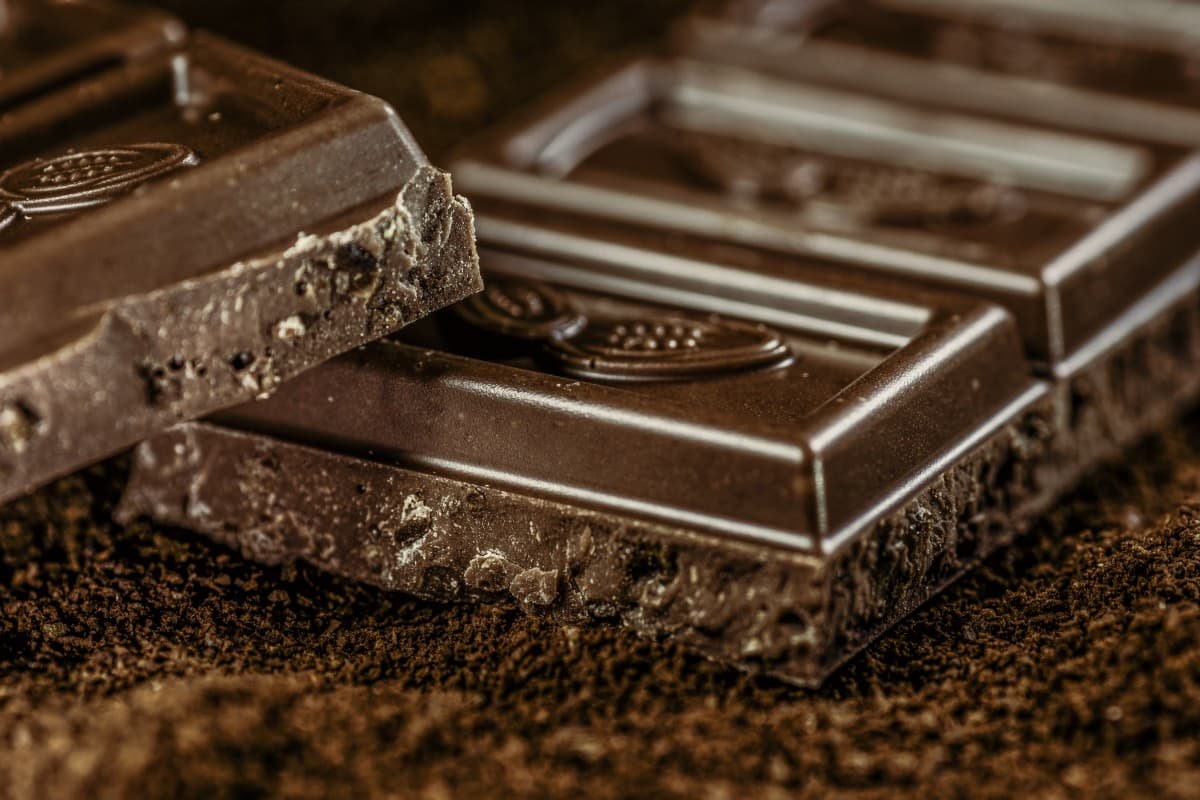 Hur man provar choklad – Chokladskolan