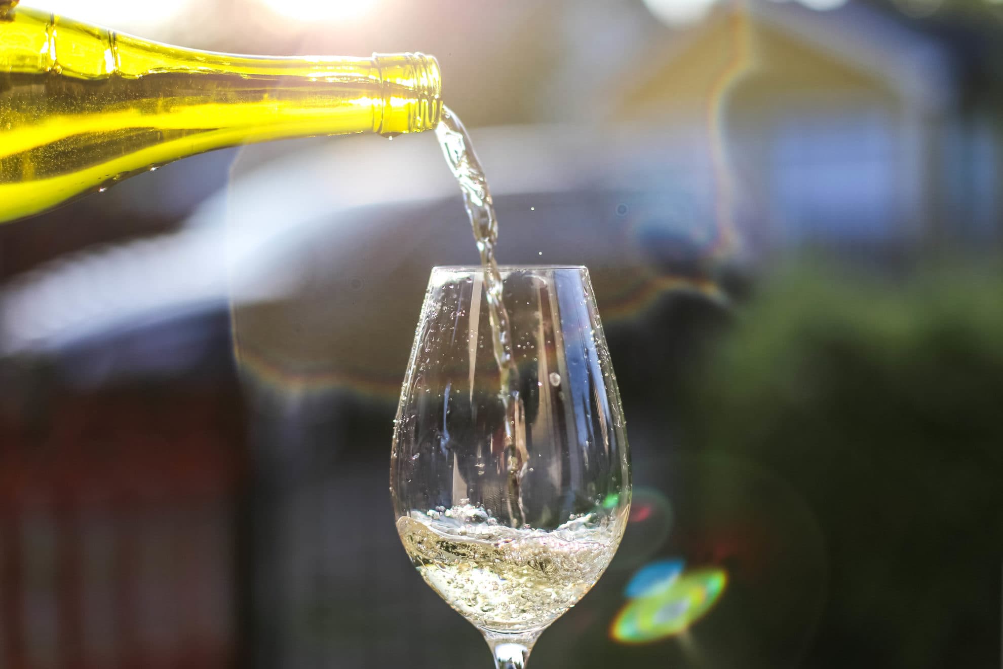 Vitt vin