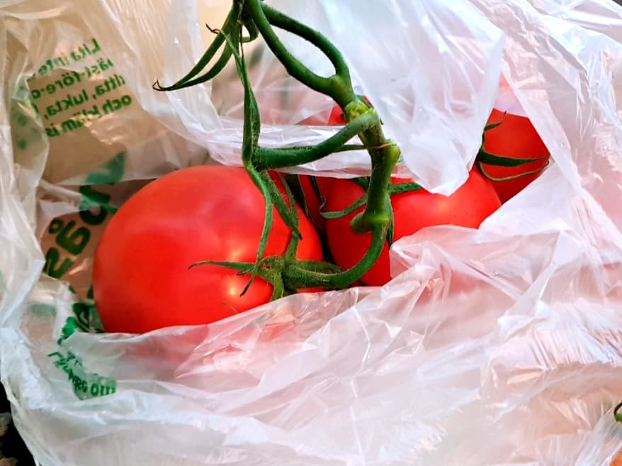 Pappa al pomodoro