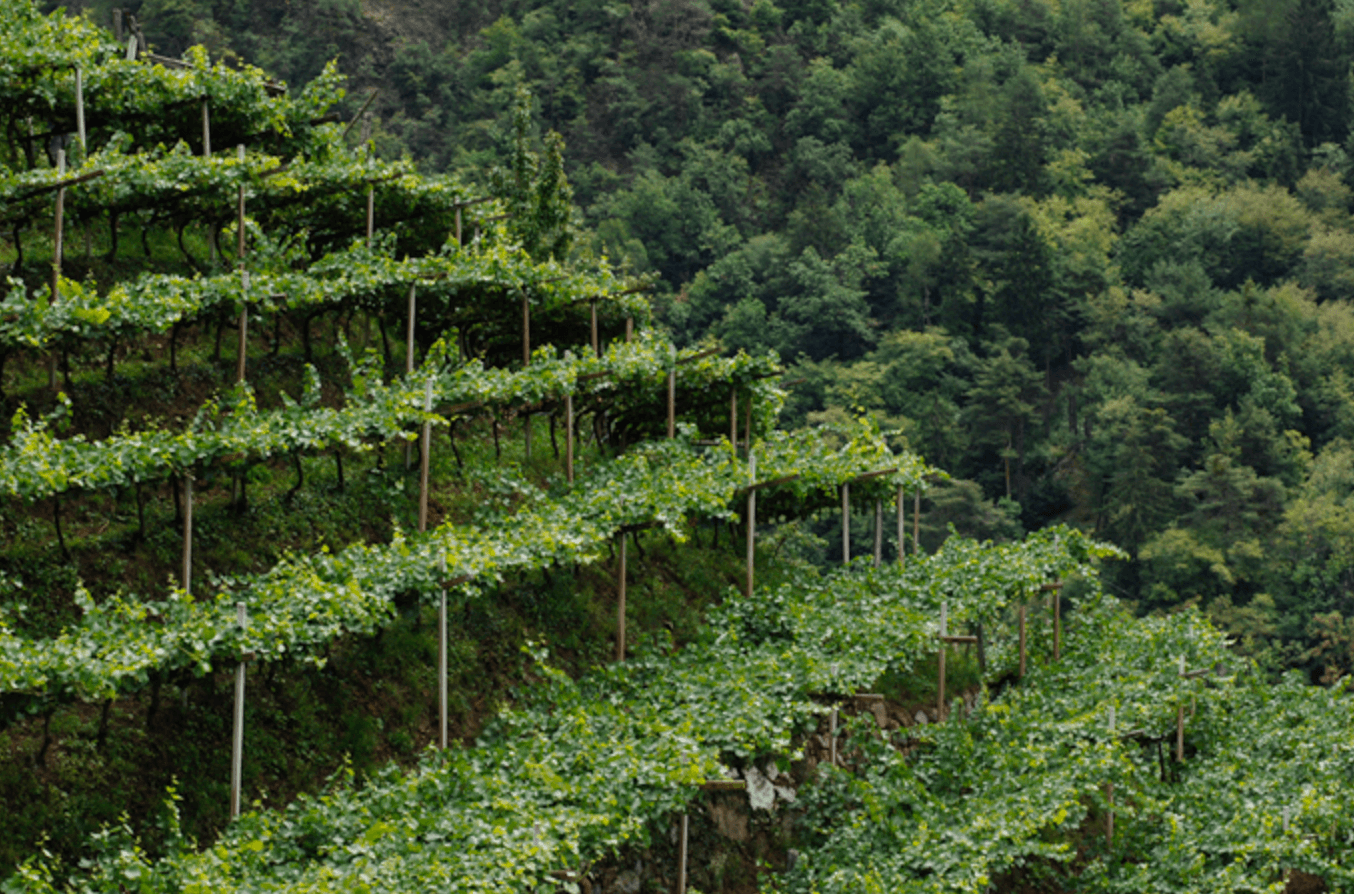 Alto Adige Italienska alperna