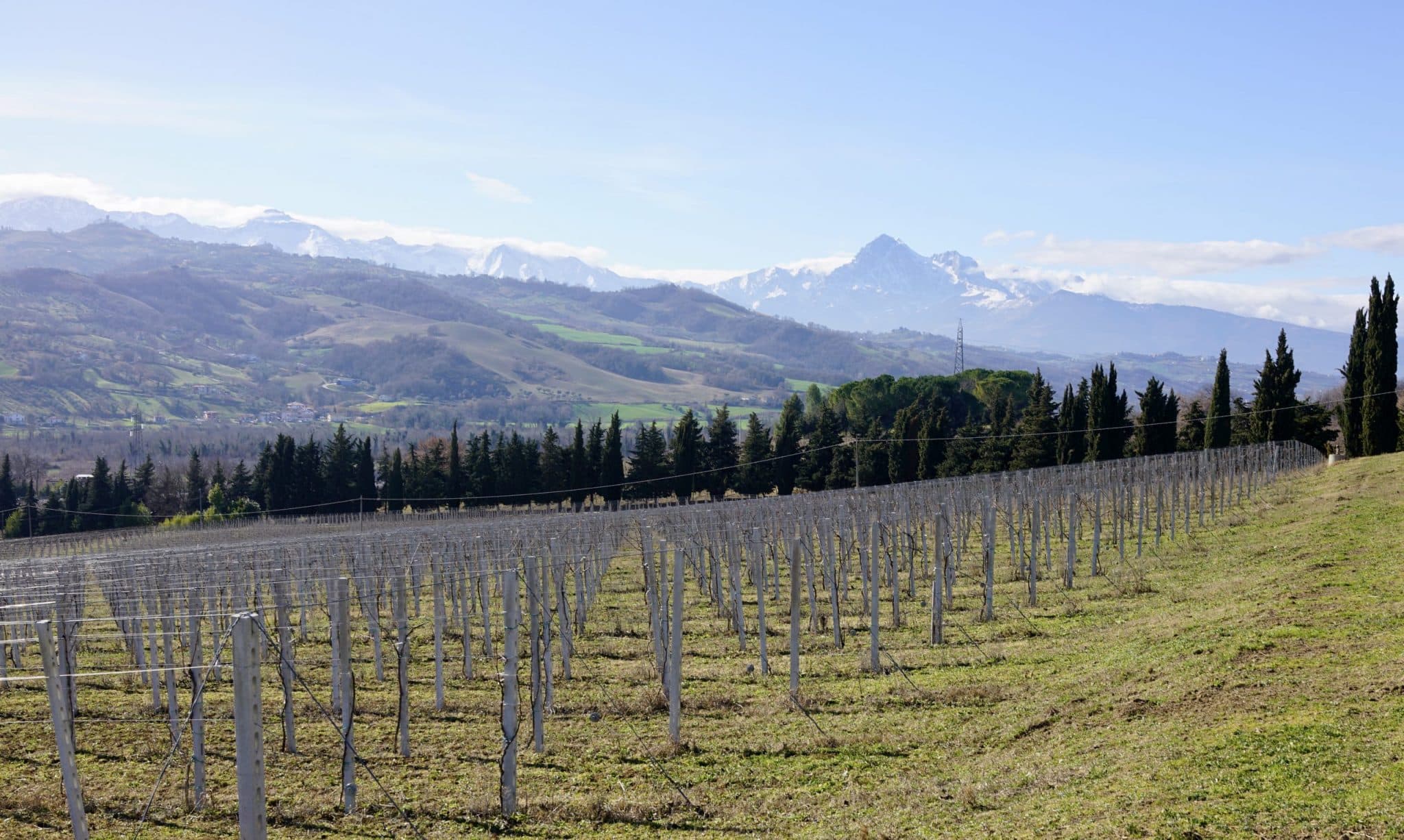 Colline Teramane, Anders Levander
