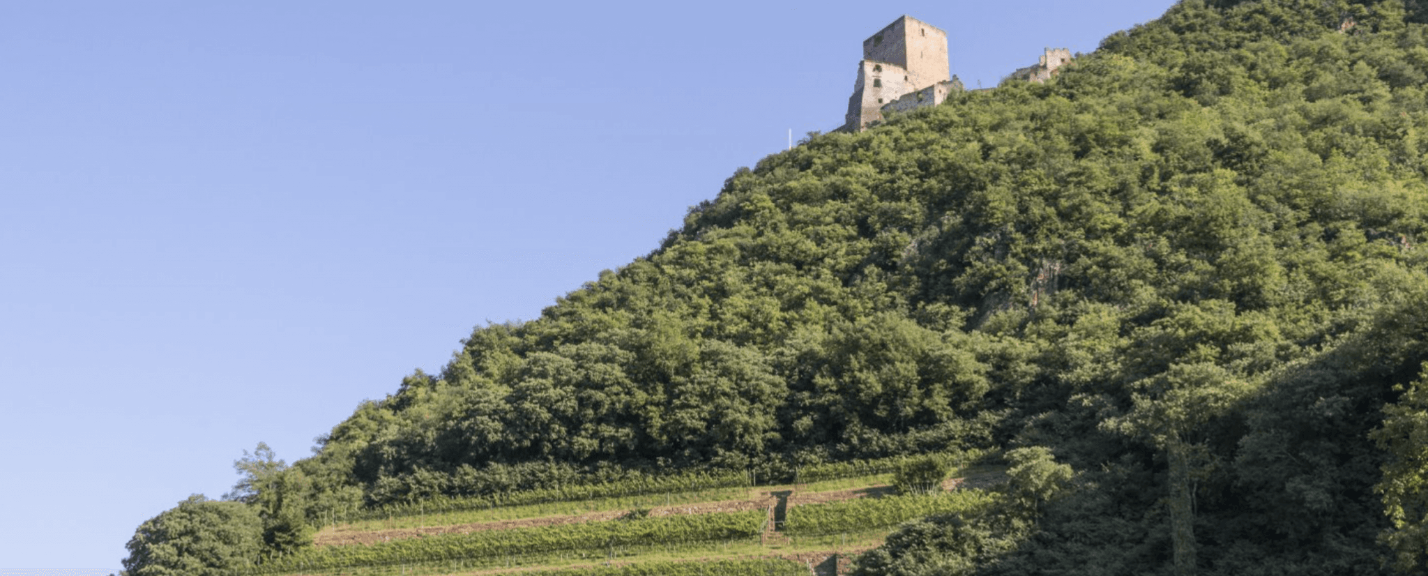 Alto Adige i Italien när det är som bäst - Cantina Terlan