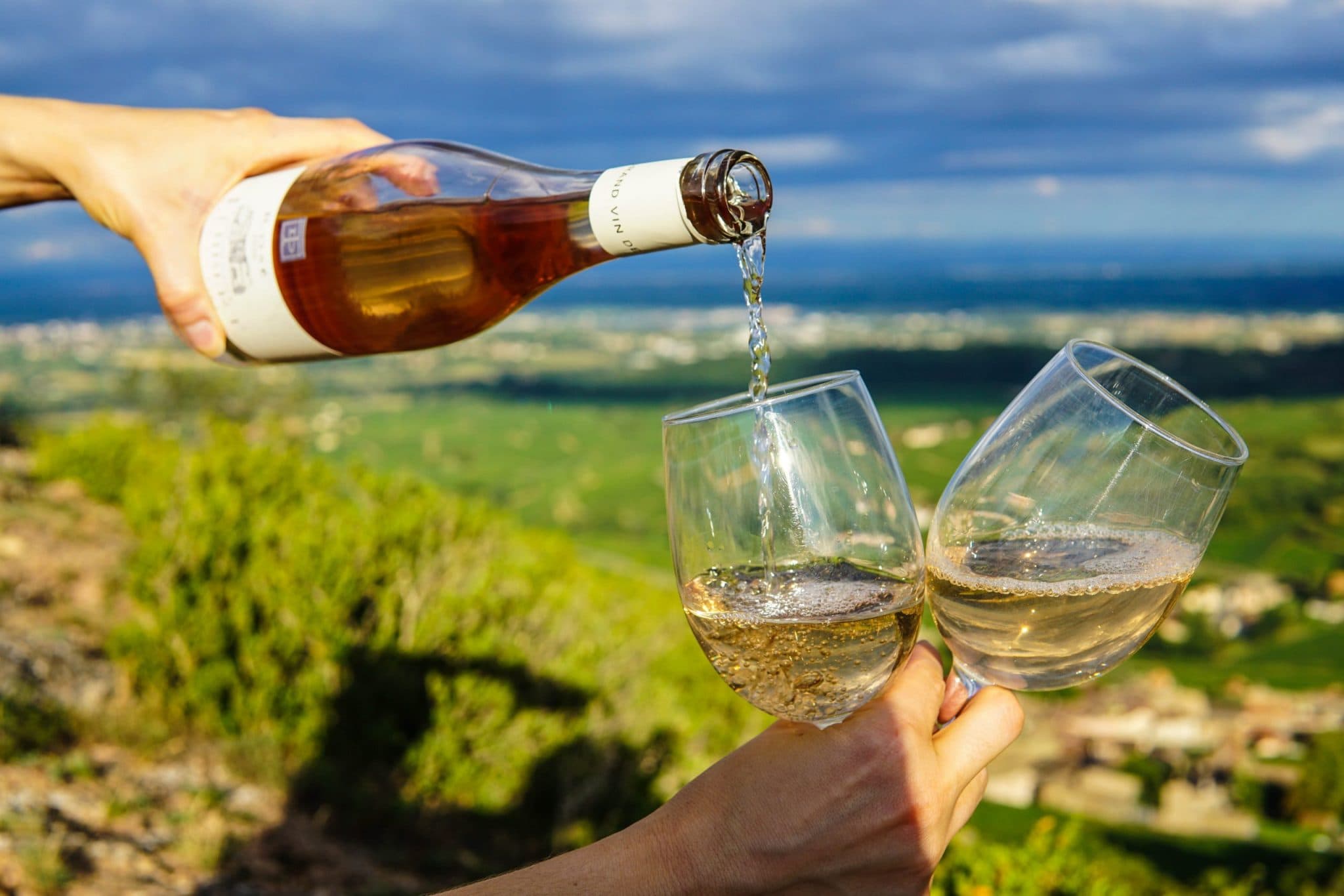 Internationella Sauvignon Blanc dagen den 7 maj