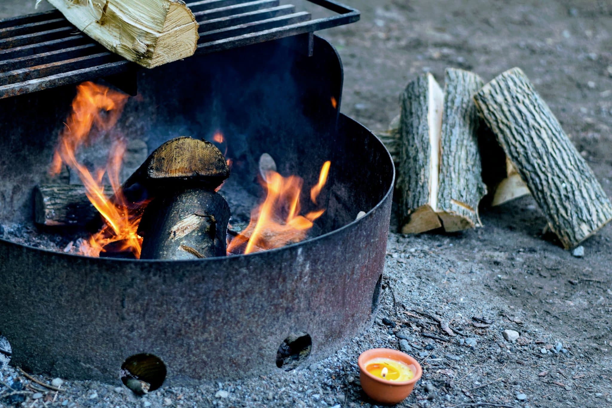 Bästa vita vinerna till grillat