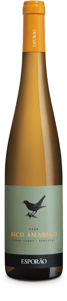 Vitt vin Vinho Verde Portugal