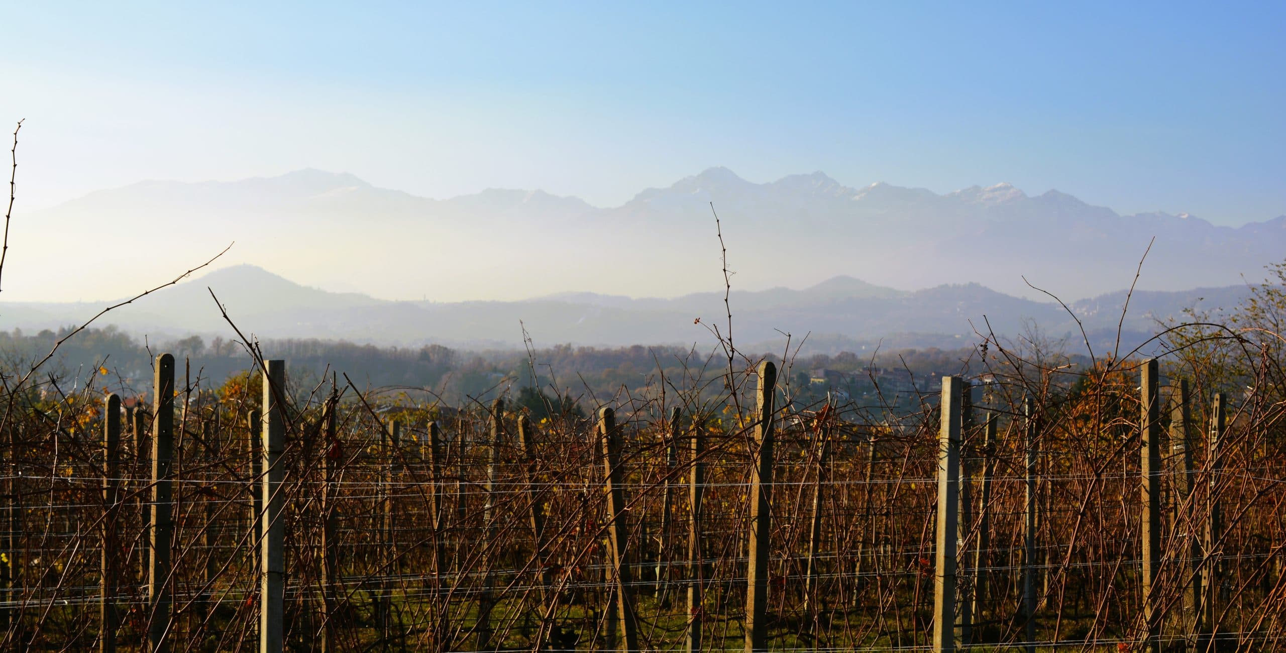 Piemonte bortanför Barolo och Barbaresco