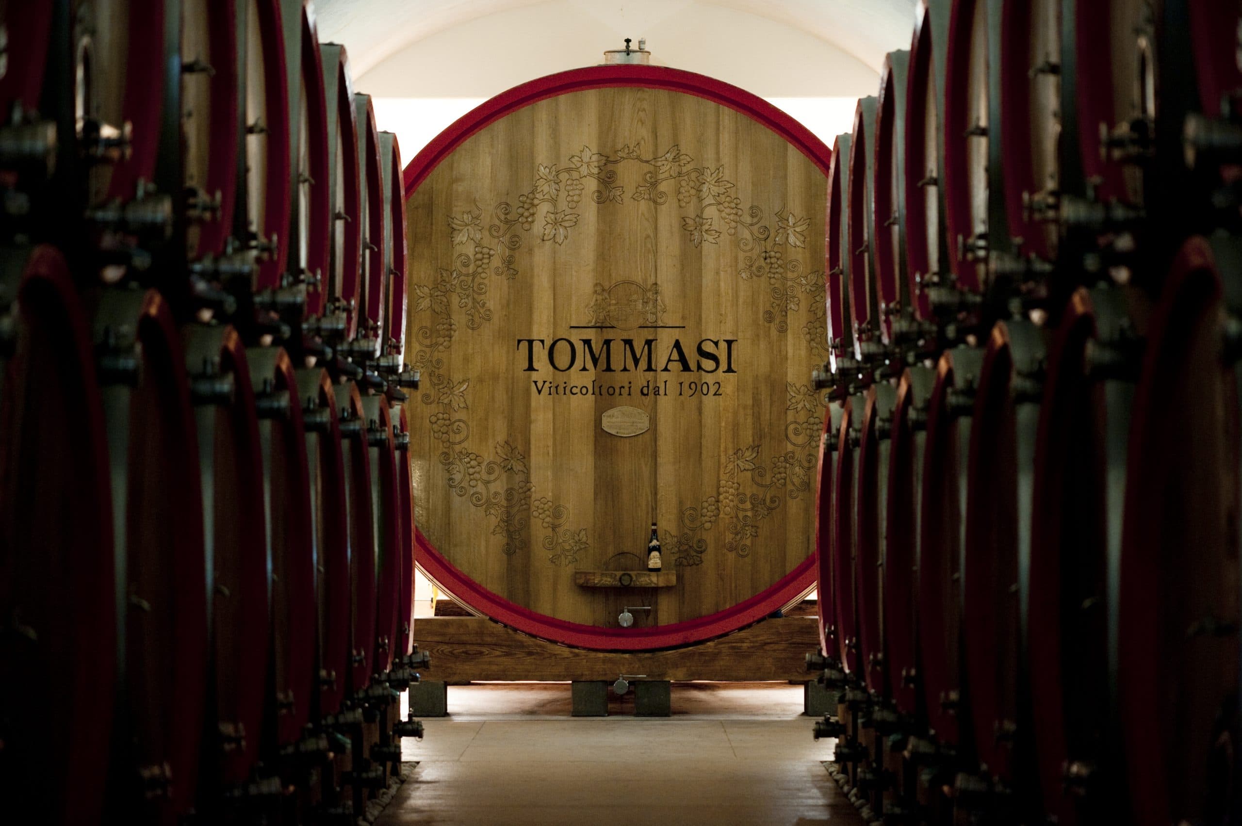 Amaroneskolan Tommasi