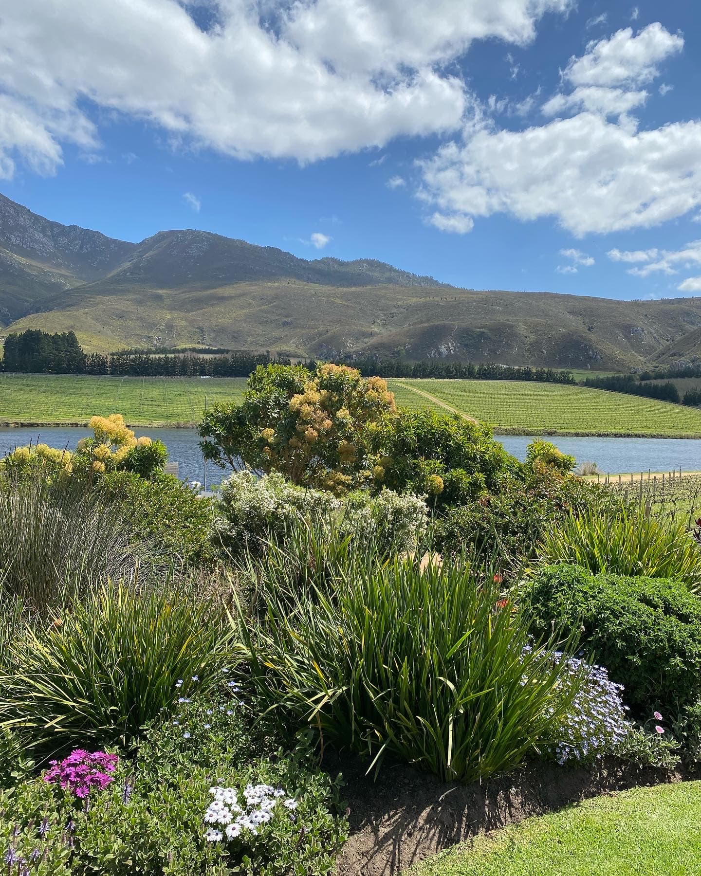 Hemel-en-Aarde - himmel och jord och himmelska viner