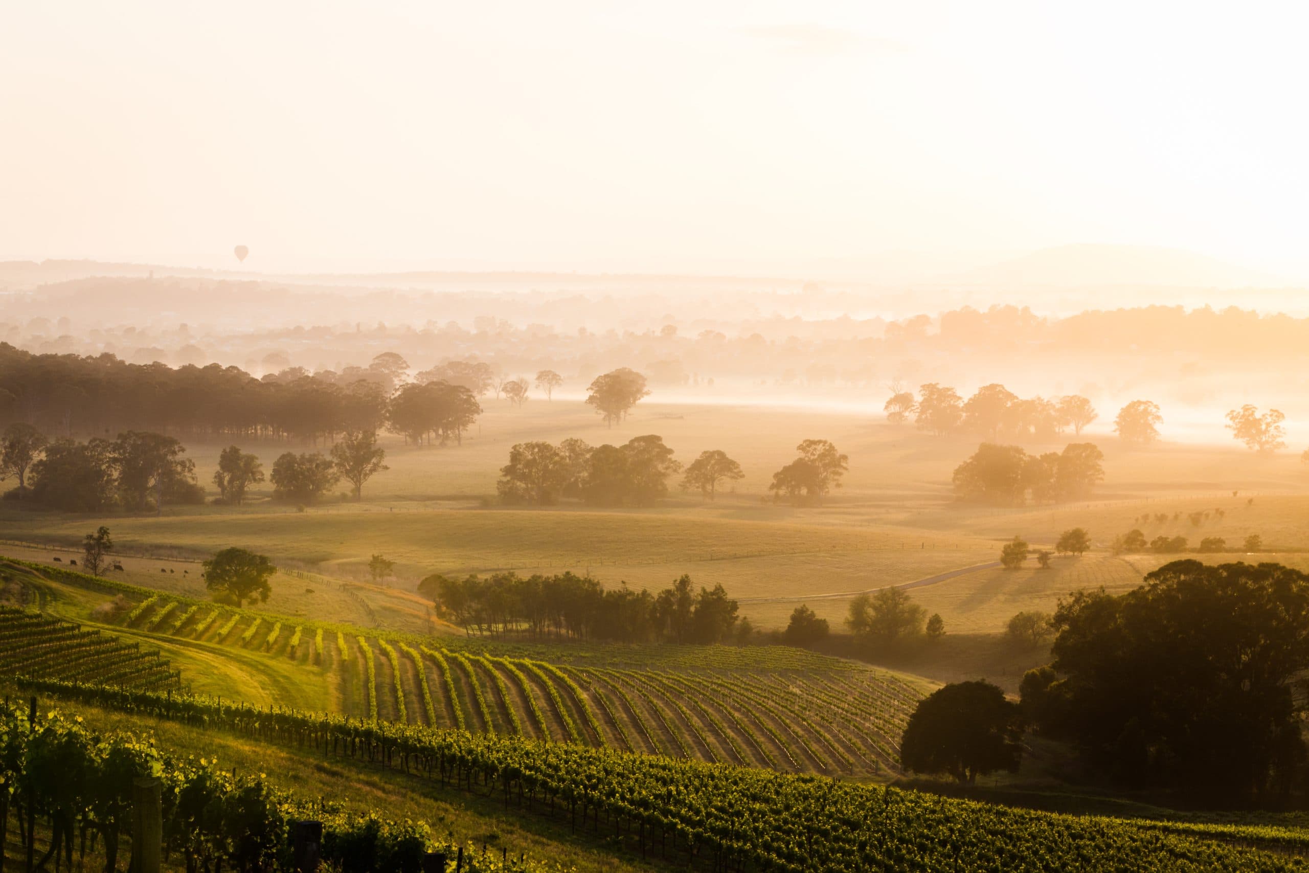 Vinlandet Australien - Victoria