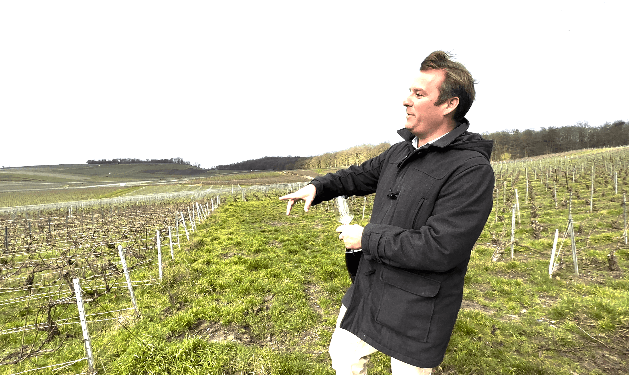 Champagne-skolan Coteaux Champenois