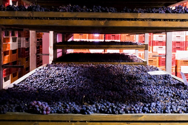 Nya Amarone och Valpolicella