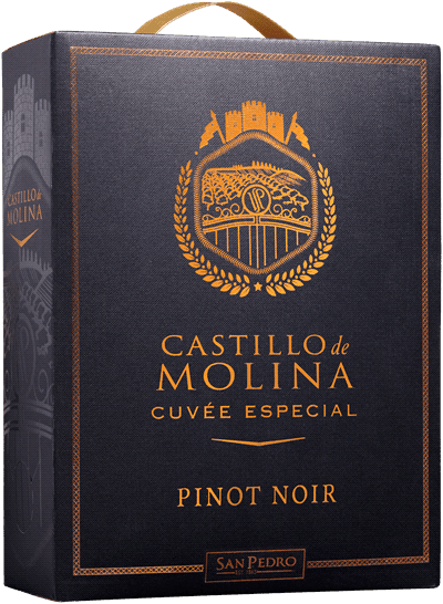 Castillo de Molina Pinot Noir 2023