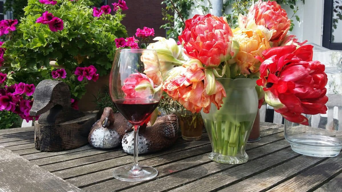 Sofias tips – fast sortiment 2 juni 2025